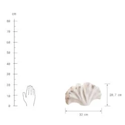 Deko-Objekt Blatt Höhe 21cm GINKGO In Creme -Hausverkaufsladen butlers deko objekt blatt hohe 21cm ginkgo in creme 3